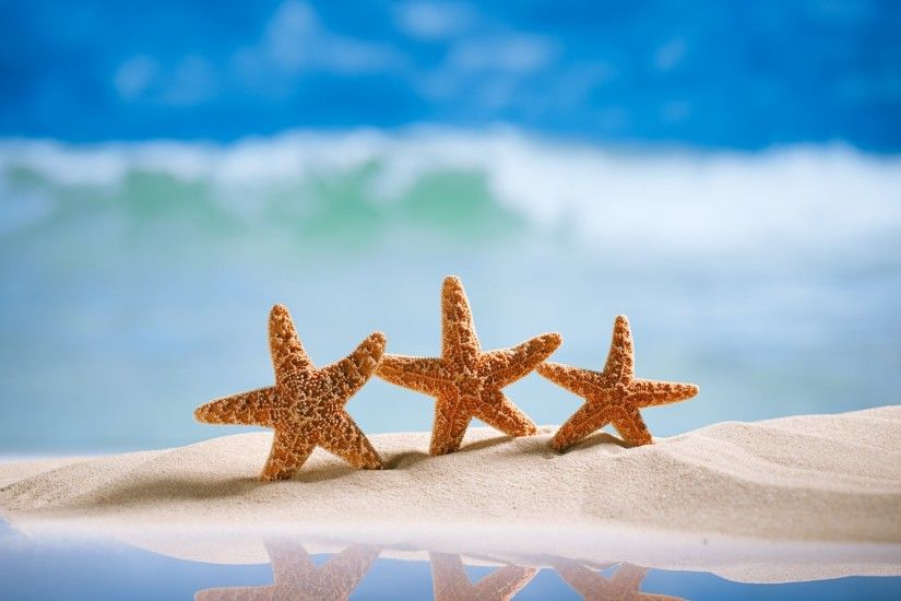 Beach sand starfish seashells depth of field umbrellas wallpaper .