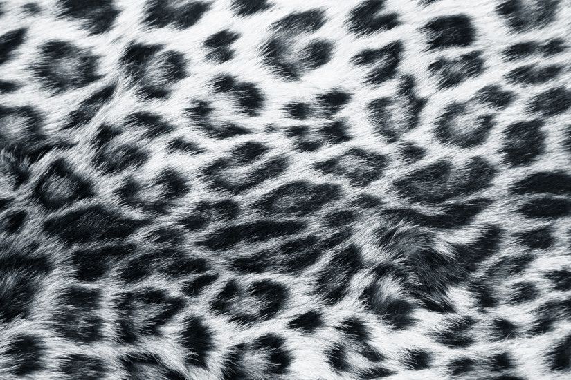 Leopard-Print-http-whatstrendingonline-com-leopard-print-wallpaper-