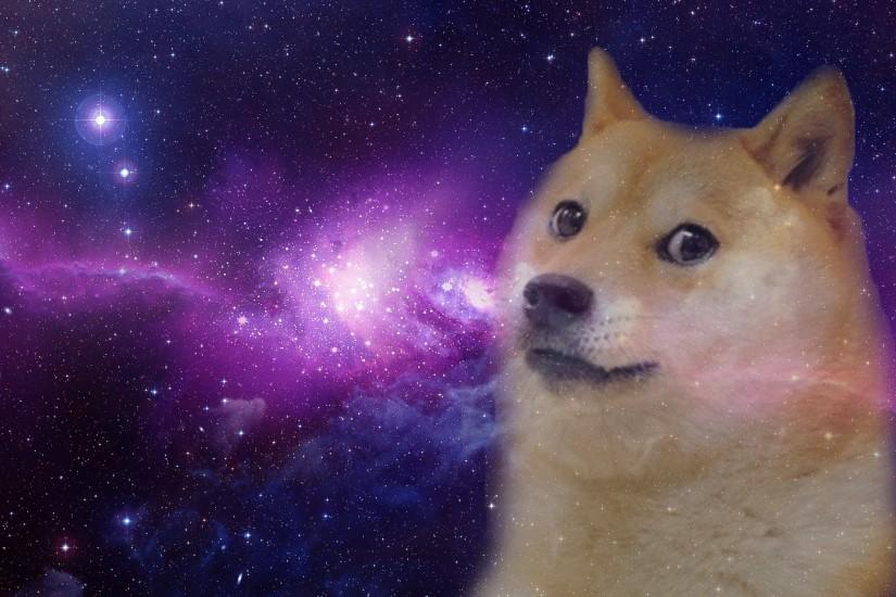 doge, oer cosmos