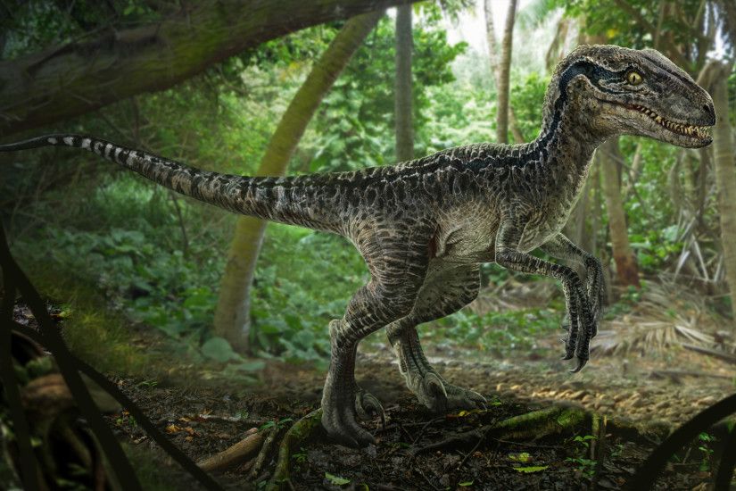 jurassic world | Jurassic World News! (and GIFs) | ÊÏÑÎ±ÑÑÎ¹Â¢ ÏÏÑââ/ÏÎ±ÑÐº |  Pinterest