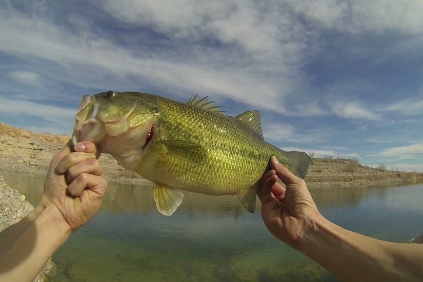 How I Caught 5 Large Mouth Bass at Lake Mead - GoPro Hero 3 HD POV - YouTube