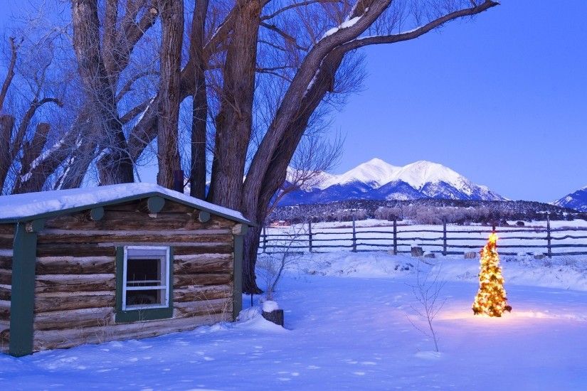 Small bright Christmas tree near the hut wallpaper 1920x1080 jpg