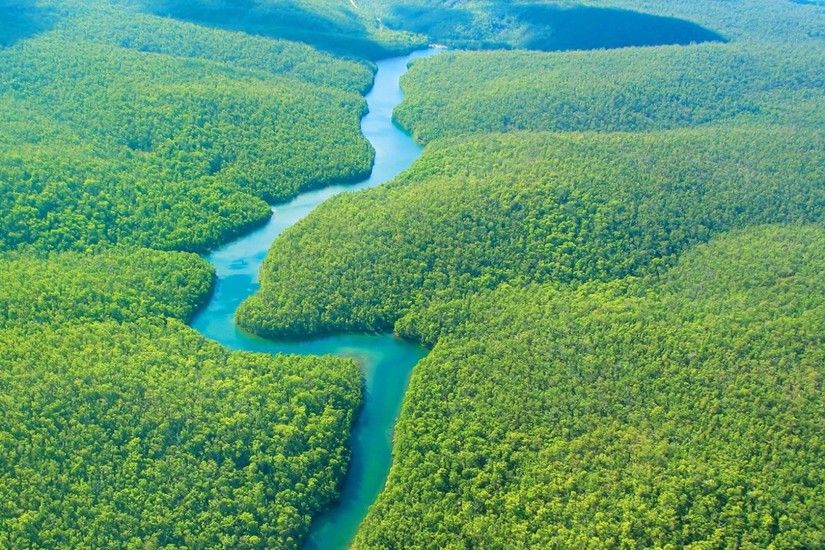 Amazon Rainforest In Brazil HD Wallpaper #04862