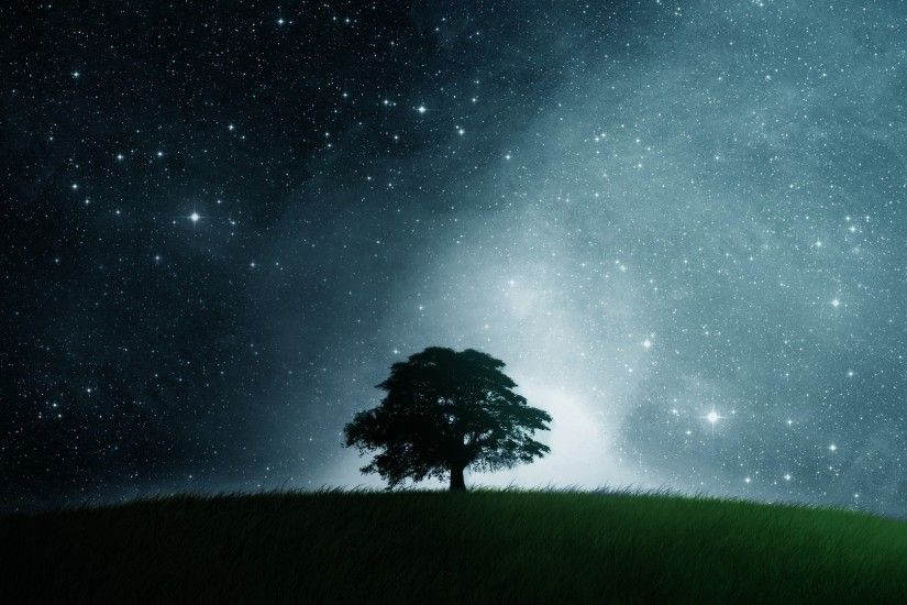Lonely Tree Nice Dark Star Cool Epic Stars Field Awesome Full HD Wallpaper