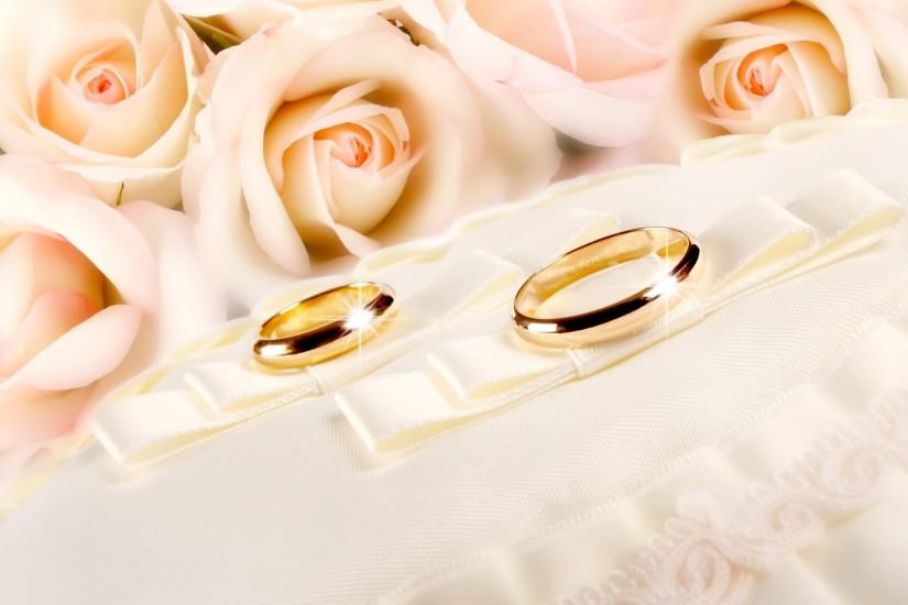 Other Resolution: Surprising Twins Couple Rings Gold Glitter Pink Fabric  Rose Flower Wedding Hd Wallpapers