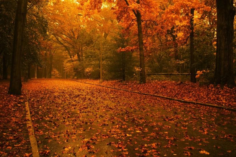 most popular fall wallpapers 1920x1080