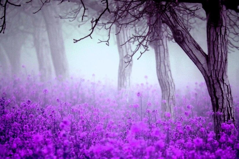 Hazy Woods Cool Purple Flowers Wallpaper Source Â· Chopwell Woods Flowers