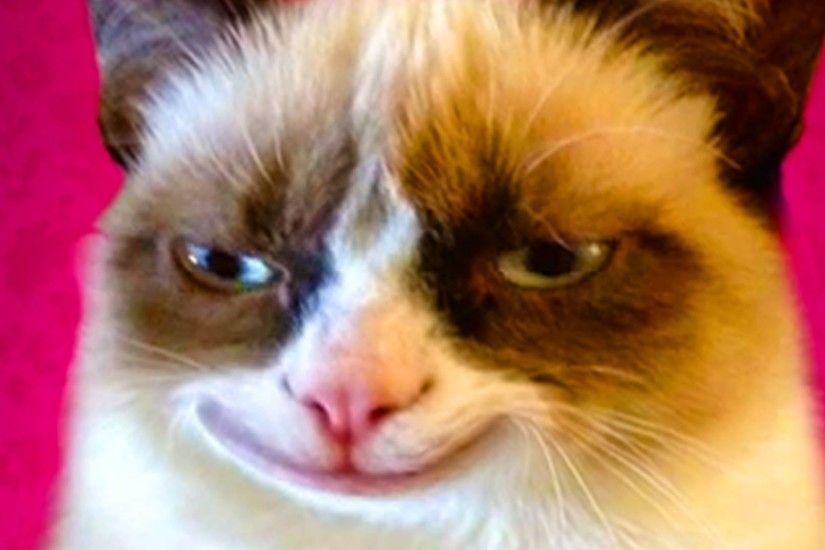 Grumpy Cat Smiling Gif