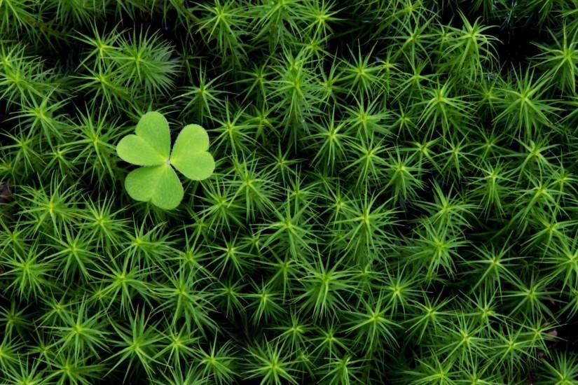 #833674 Irish Wallpapers | Photography Wallpapers Gallery - PC .
