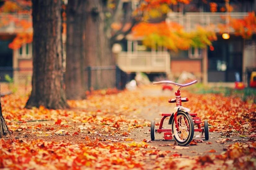 25 best ideas about Autumn Pictures on Pinterest | Fall season .