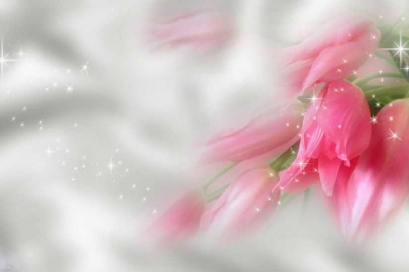 pink flowers desktop wallpaper HD Wallpaper