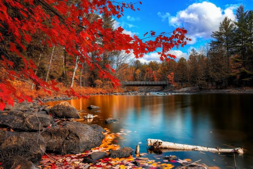 river, Nature, Trees, Fall Wallpaper HD
