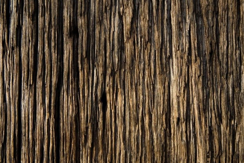 3840x2160 Wallpaper bark, wood, background, texture