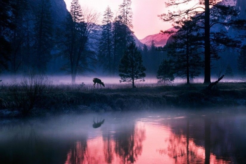 night in yosemite wallpapers hd national park hd 4k high definition windows  10 colourful images backgrounds download wallpaper free 1920Ã1080 Wallpaper  HD