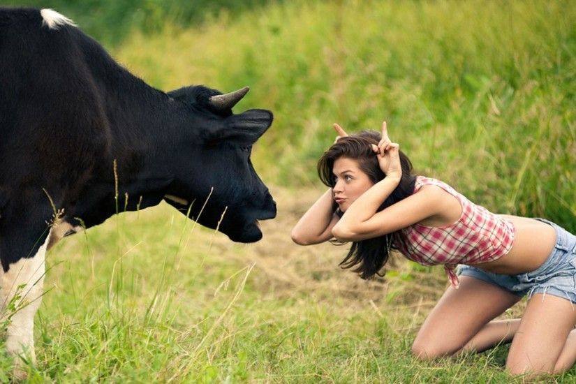 hd wallpaper funny hot girl fight with cow