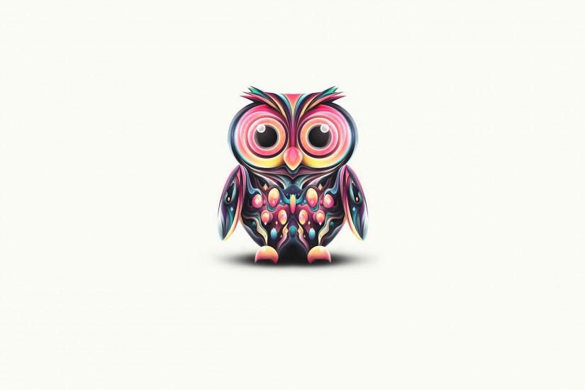 widescreen owl wallpaper 2560x1440 screen