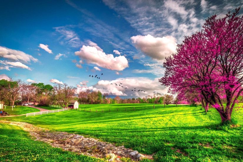 Landscape beautiful spring nature -. Spring Wallpapers. Seasons Wallpapers.  download beautiful HD Wallpaper