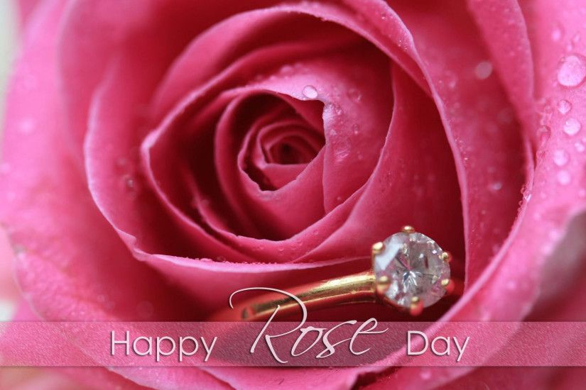 Download – Rose Day Images for Whatsapp DP Profile