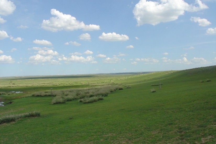Grasslands photo courtesy of wikipedia