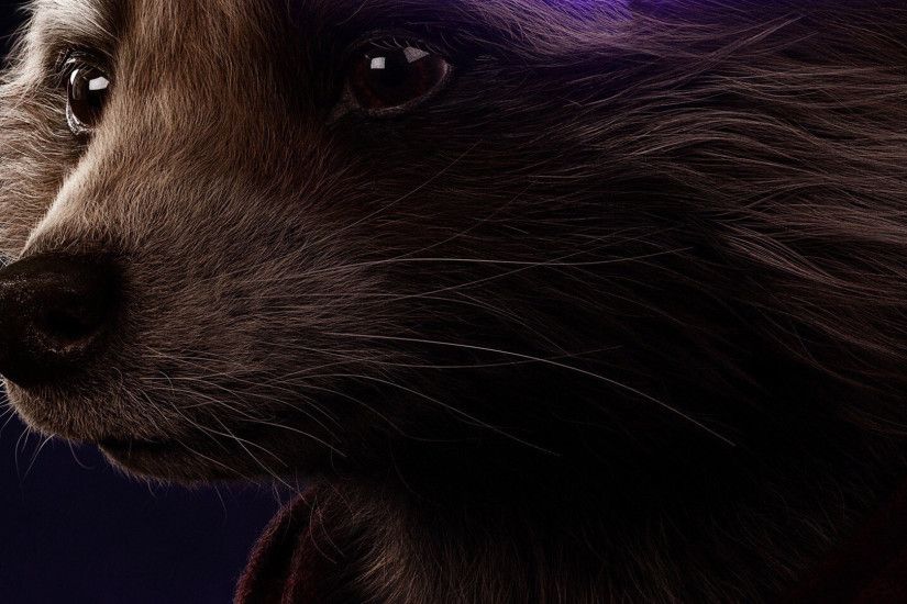 Rocket Raccoon Avengers Endgame 2019 Poster