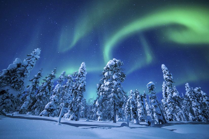 northern lights aurora borealis over forest uhd 4k wallpaper