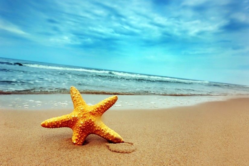 3840x2160 Wallpaper starfish, coast, beach, sand