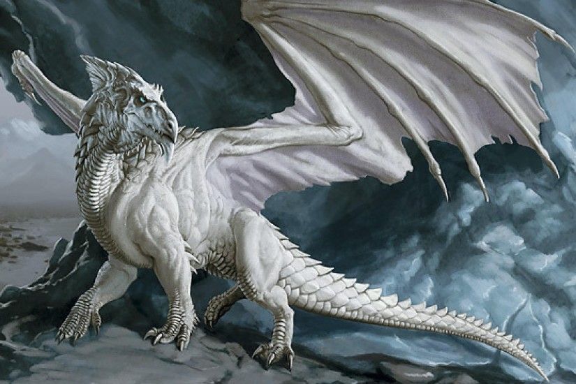 Dragon blanco arte fantasia wallpaper | 2560x1440 | 763628 | WallpaperUP