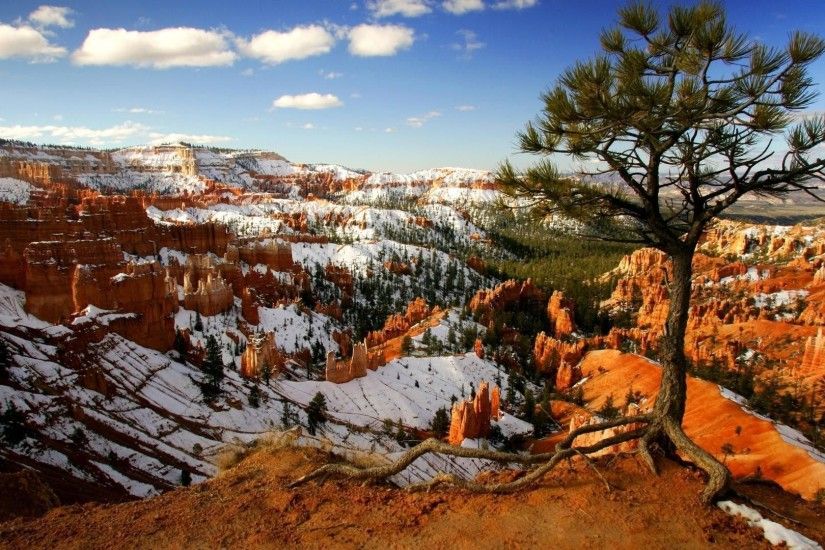 Snow In Bryce Canyon National Park