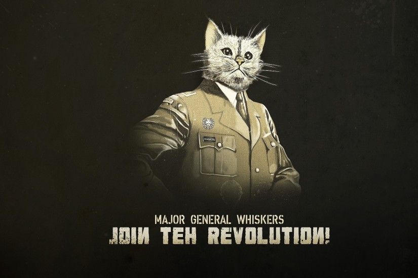 statement, hd cat wallpapers, military, humor, kitten, high definition,  cats, animal, whiskers uniform, revolution,animals, cute,  funny,amazing,_1920x1080 ...