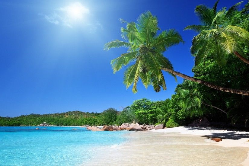 3840x2160 Wallpaper beach, sand, palm trees, tropical