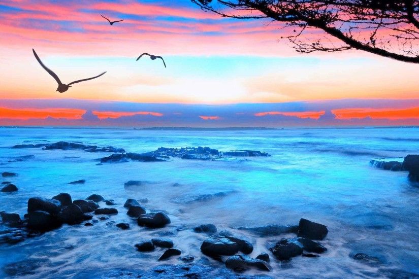 Sunrise Sunset Landscape Sea Seagulls Beautiful 3D Nature Wallpapers For  Desktop HD