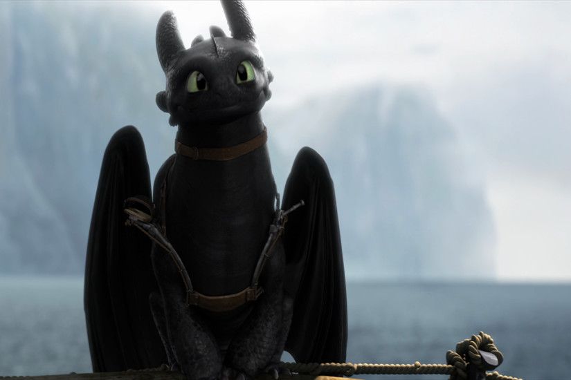 Movie - How to Train Your Dragon 2 Toothless (How to Train Your Dragon)