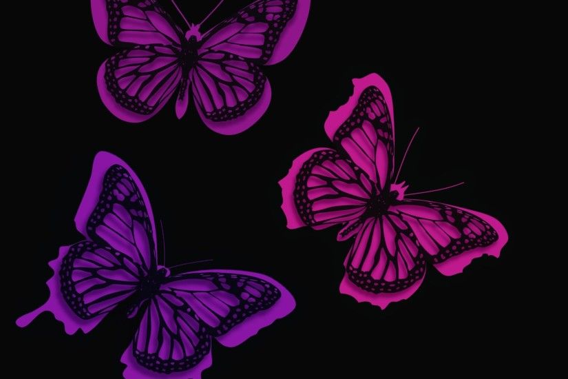 1920x1618 butterfly full desktop wallpaper
