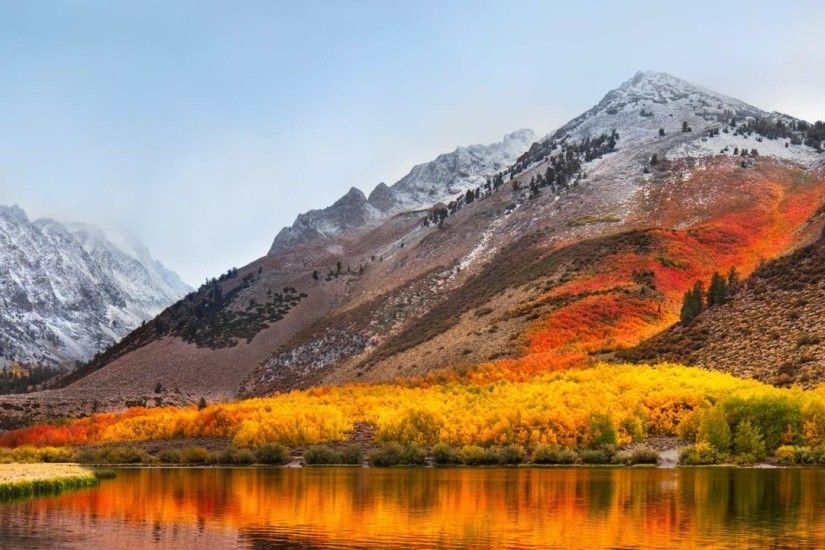 Download the macOS High Sierra Wallpaper and Spruce Up Your Mac