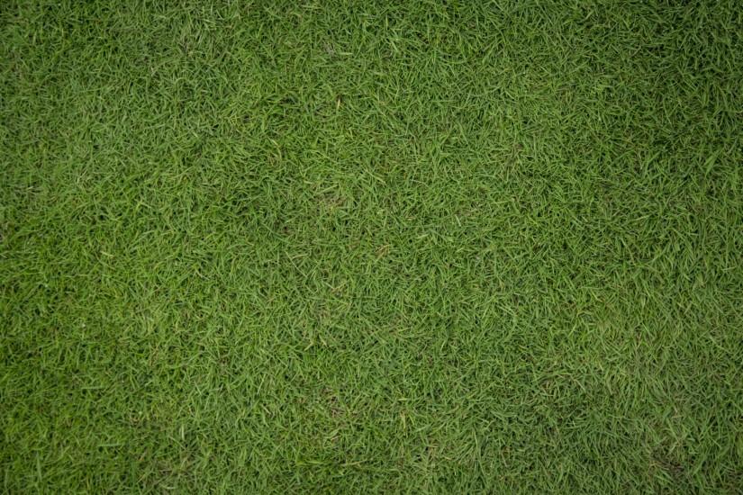 large grass background 1920x1280 screen