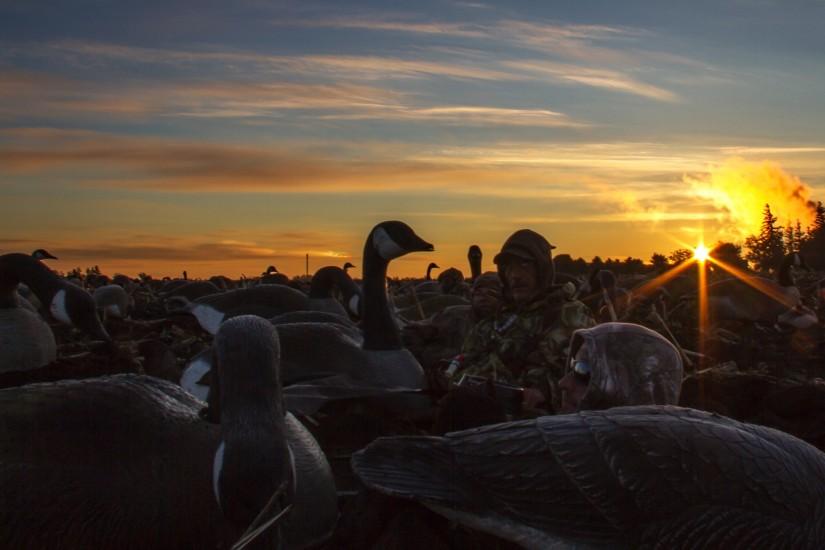Duck Hunting Desktop Wallpaper Owatonna minnesota goose hunt
