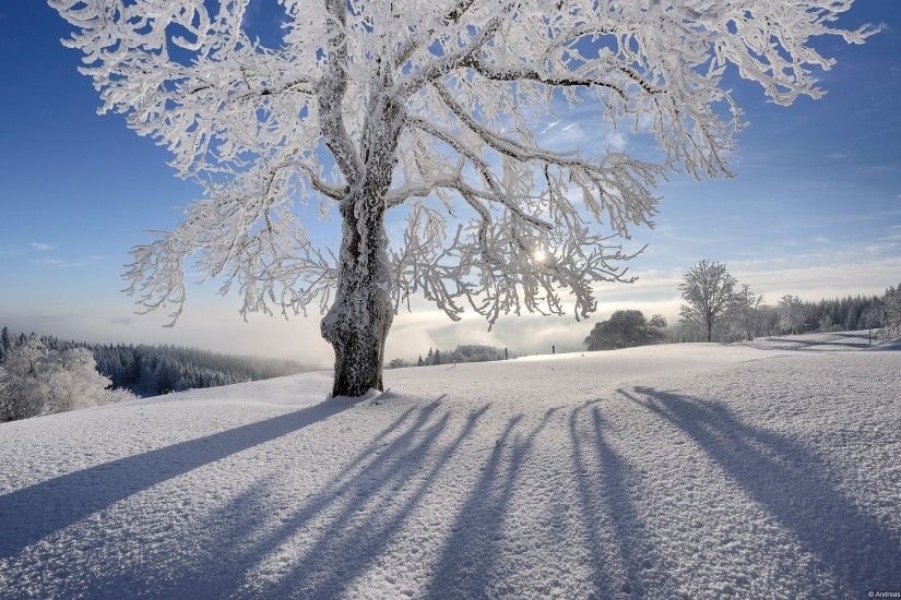 ... snow Winter Sun Wallpaper Winter Nature Wallpapers in jpg format for .  ...