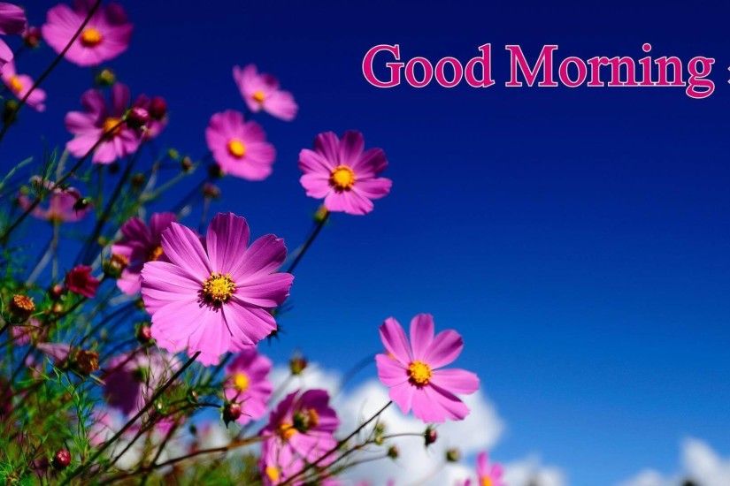 good morning images with flowers hd