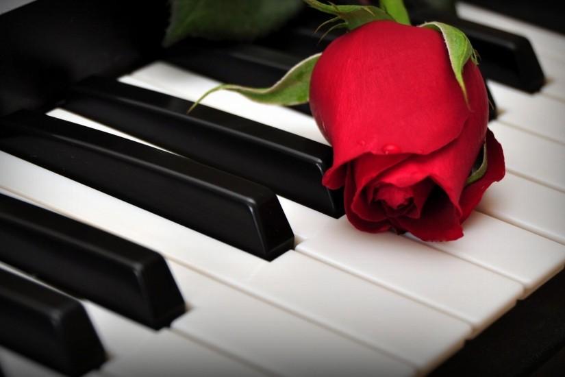 1920x1080 Wallpaper rose, flower, keys, piano