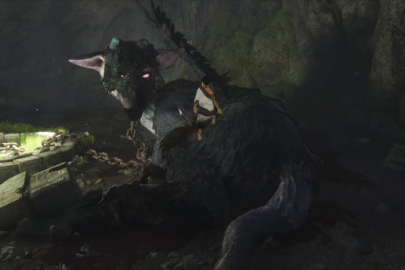 The Last Guardian Wallpapers HD