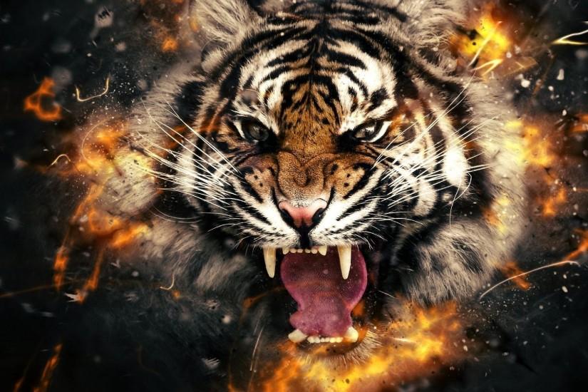 Tiger 3d Wallpapers Desktop Background