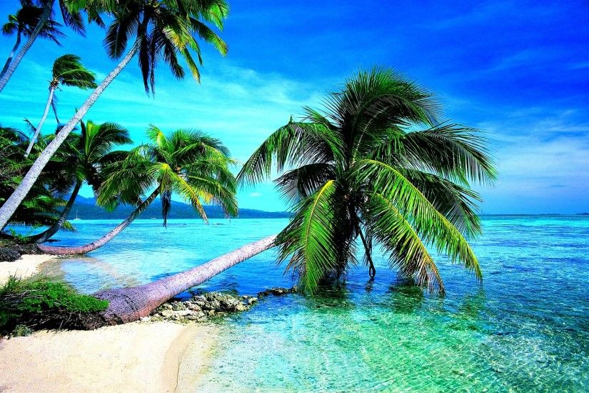 Earth - Beach Horizon Earth Sea Ocean Palm Tree Tropical Wallpaper