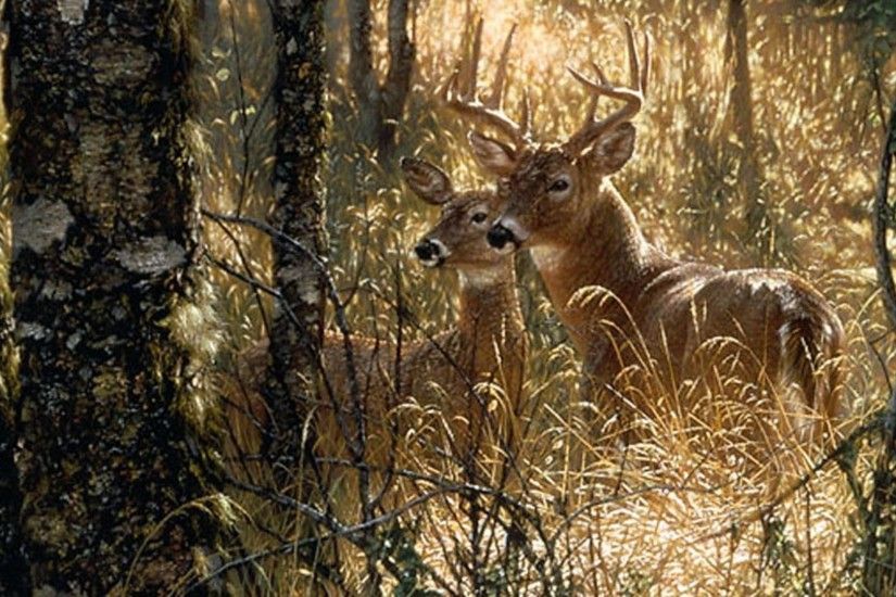 <b>Whitetail Deer Painting Wallpaper</b>