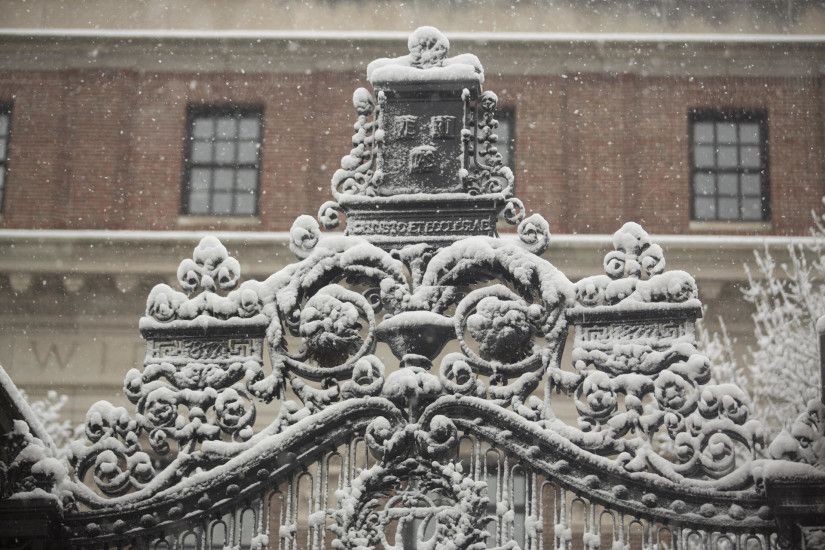 Snowy gate to Harvard Yard