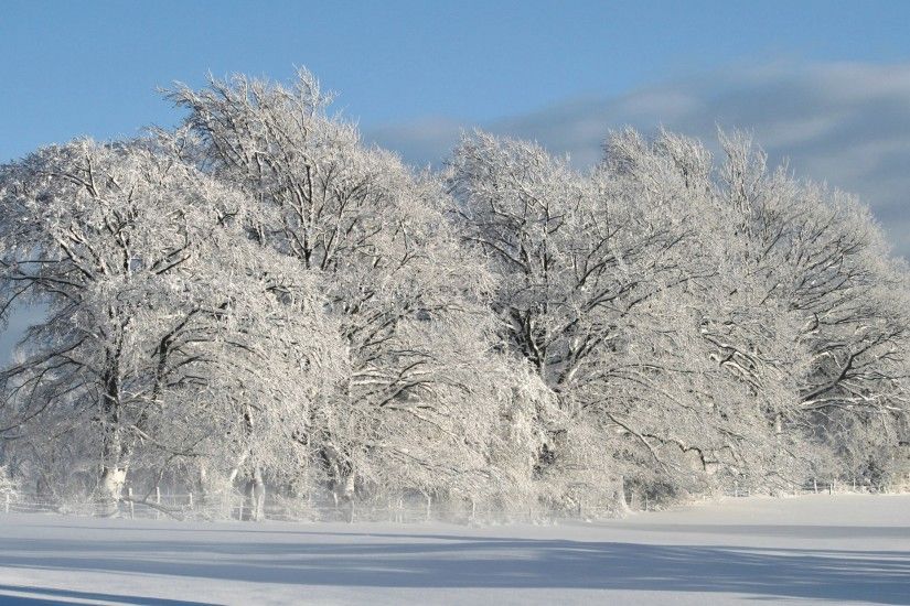 Landscape 4K Ultra HD Wallpaper | White. Landscape. Nature. Winter. Snow HD