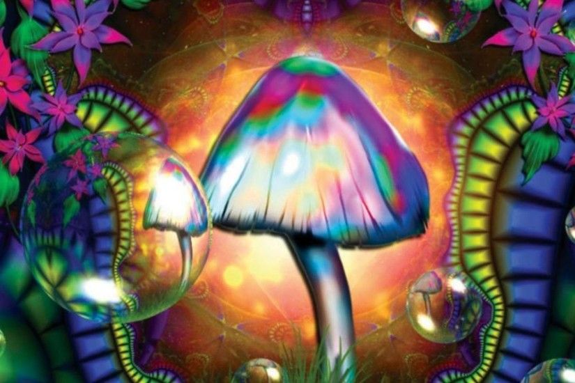 Magic Mushrooms 801140 - WallDevil