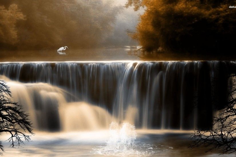 Egret Near Nature Wallpaper HD - The Forest Waterfall