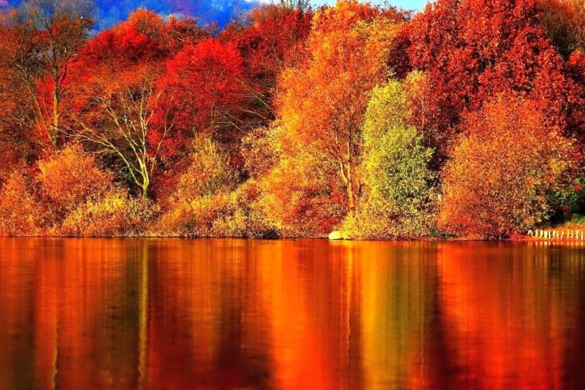 Other Autumn Nature Red Fire Bush Free Wallpapers for HD