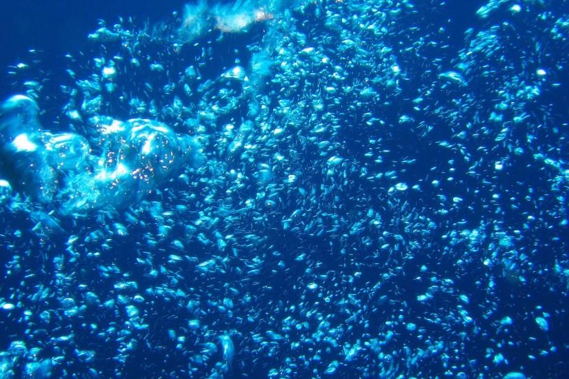 cool underwater background 1920x1202