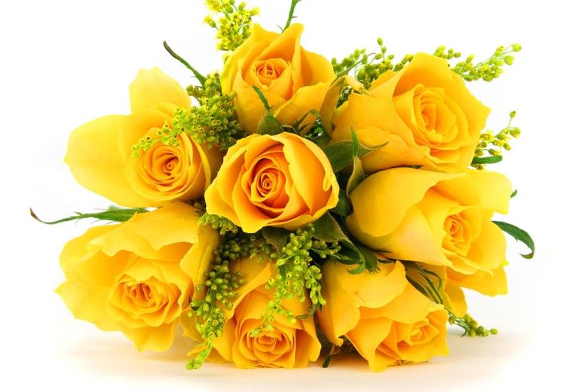 Yellow Rose Image Wallpapers (55 Wallpapers)